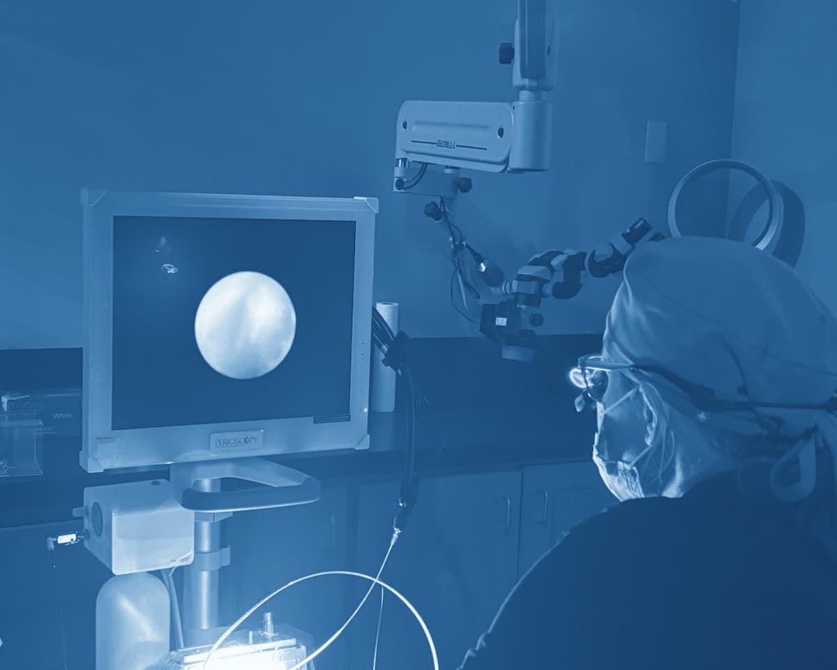 A Perio One clinician watching a magnified view of a tooth root on the periodontal endoscope monitor