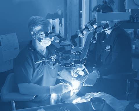 Dr. Randal Comeaux working under a surgical microscope at Perio One