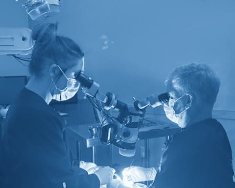 Perio One periodontists operating together under a surgical microscope